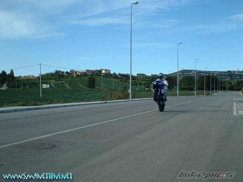 Photo 40435