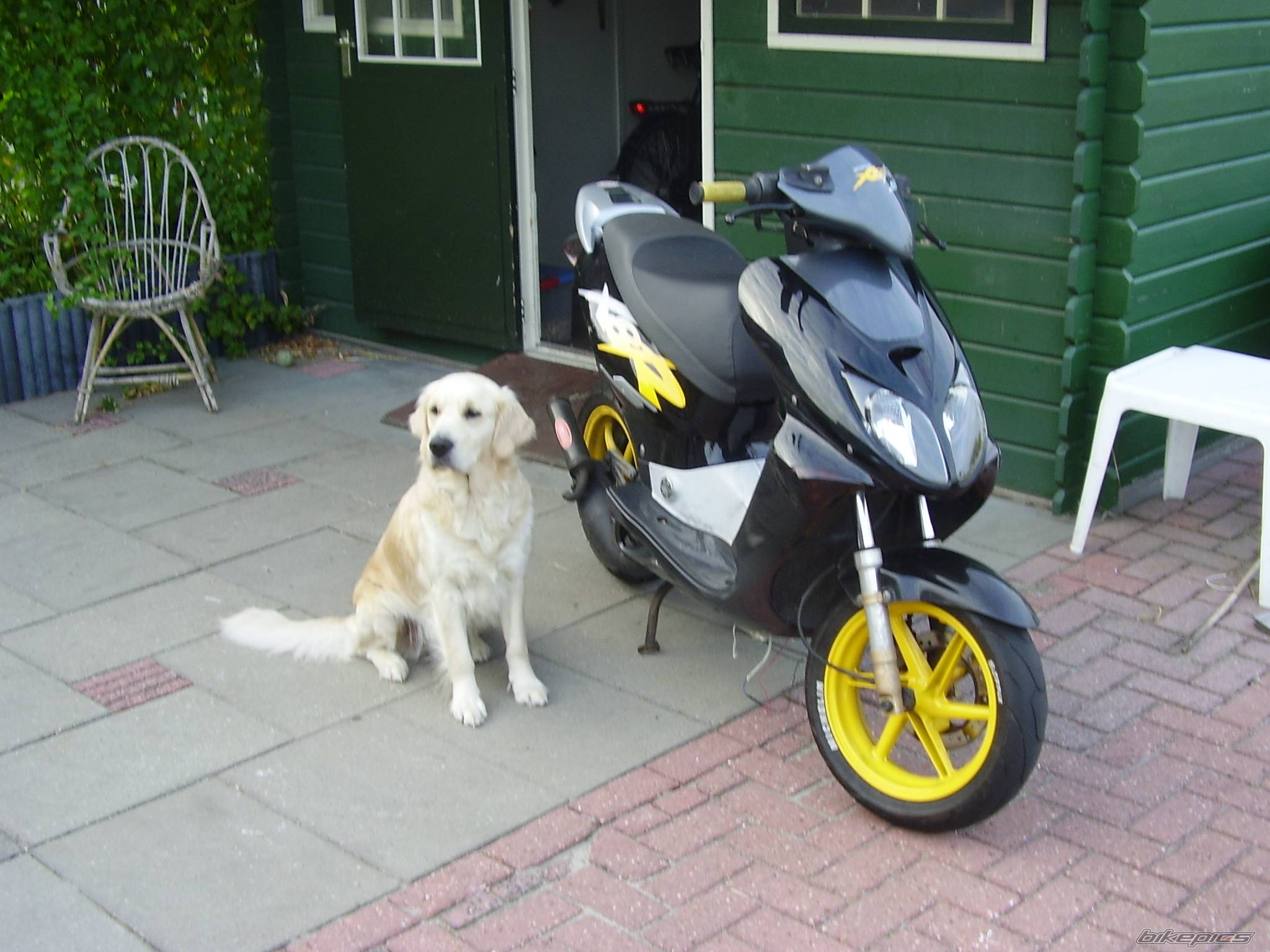 Bike Photo 404509