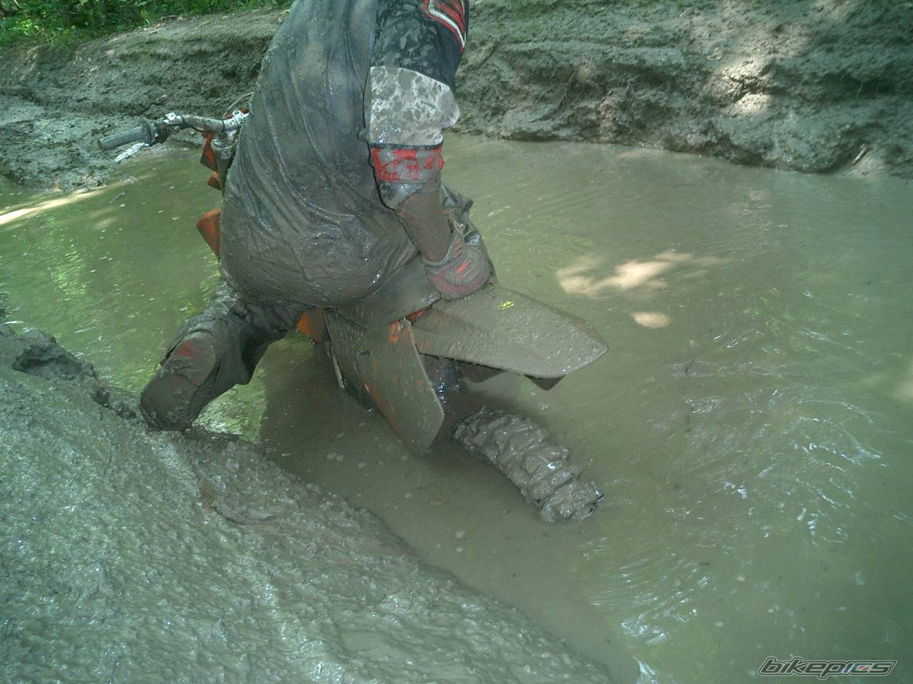 Photo 404574