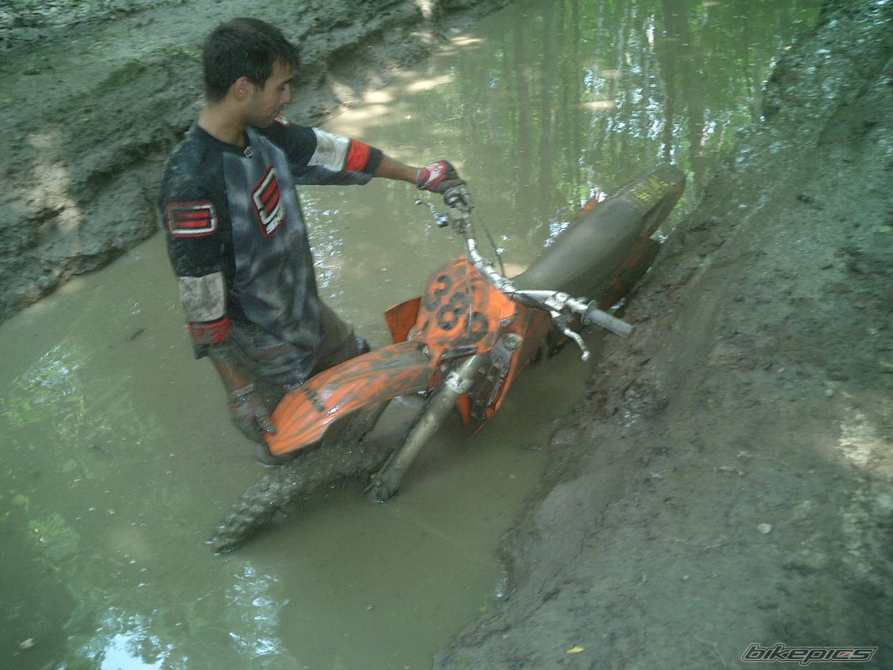 Photo 404575