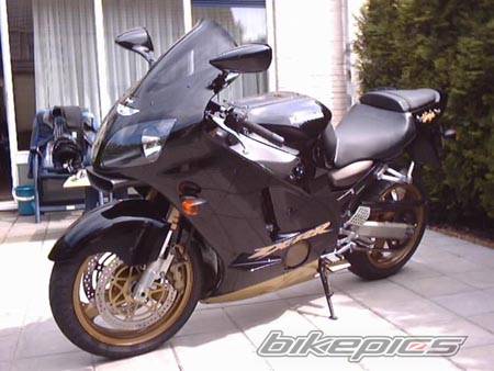 Photo 40462
