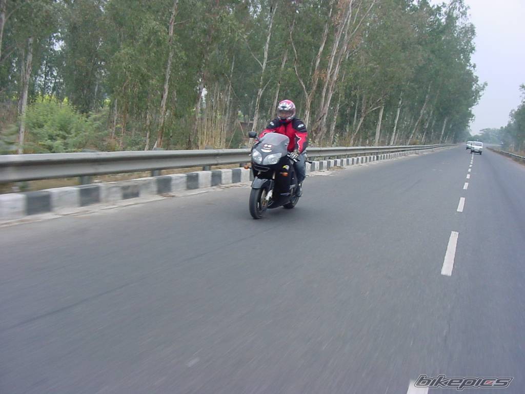 Photo 404649