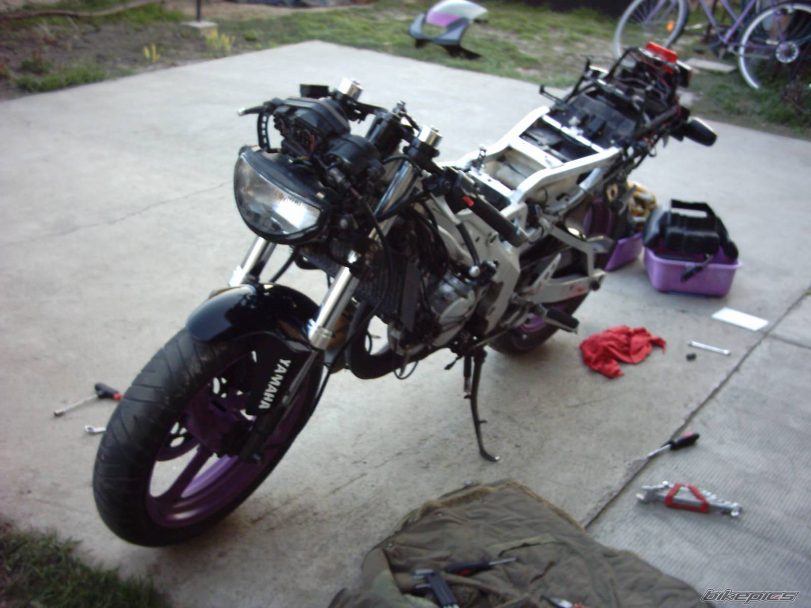 Photo 404693
