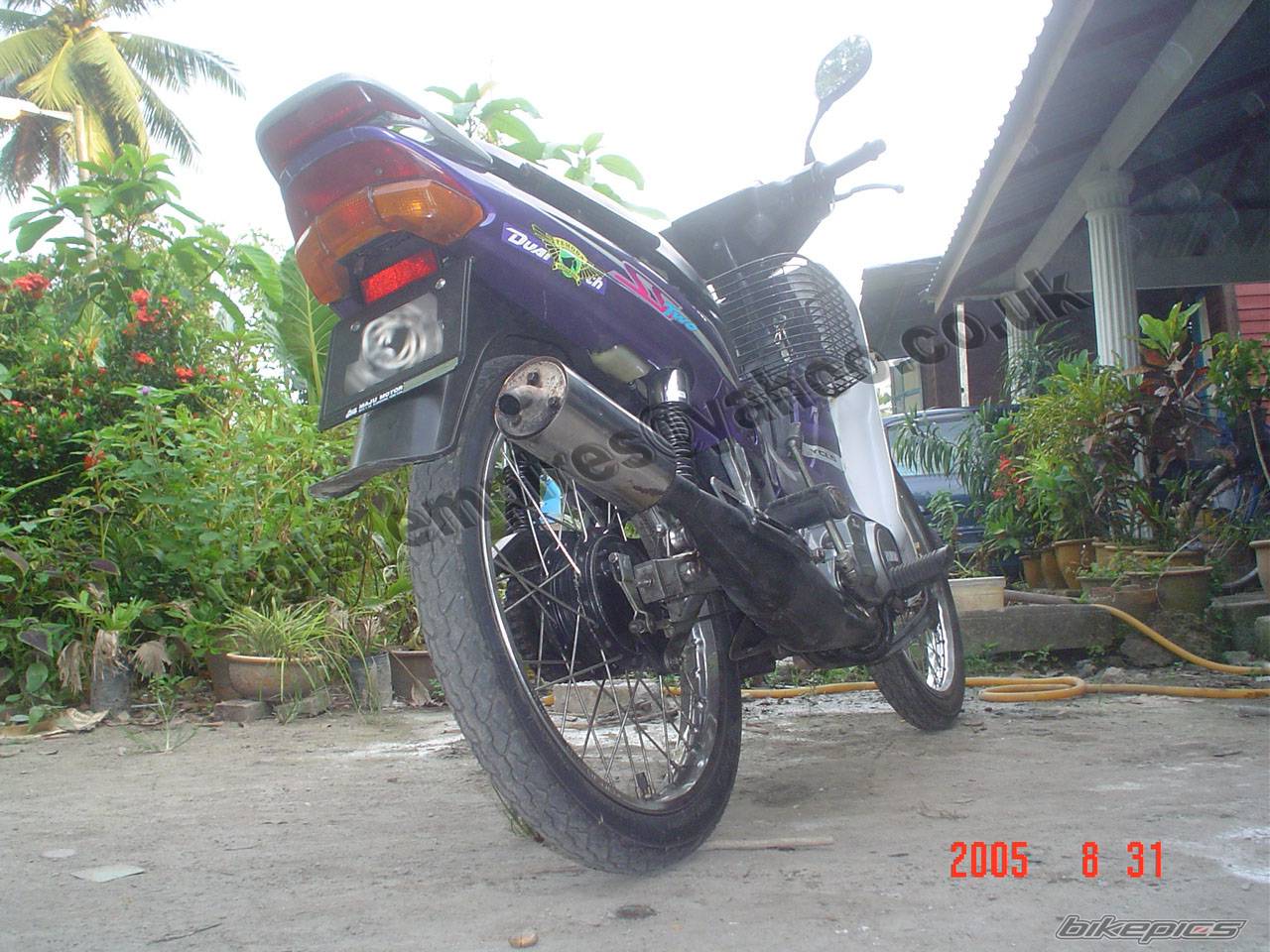 Photo 404879