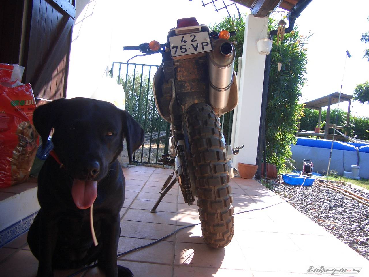 Bike Photo 404942