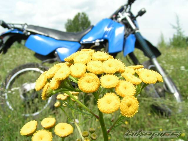 Bike Photo 404956