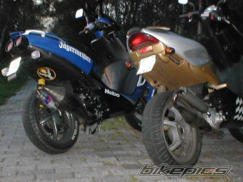 Photo 40555