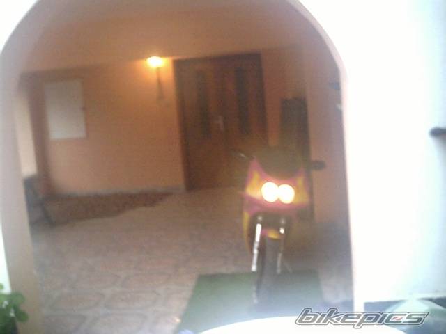 Photo 40557