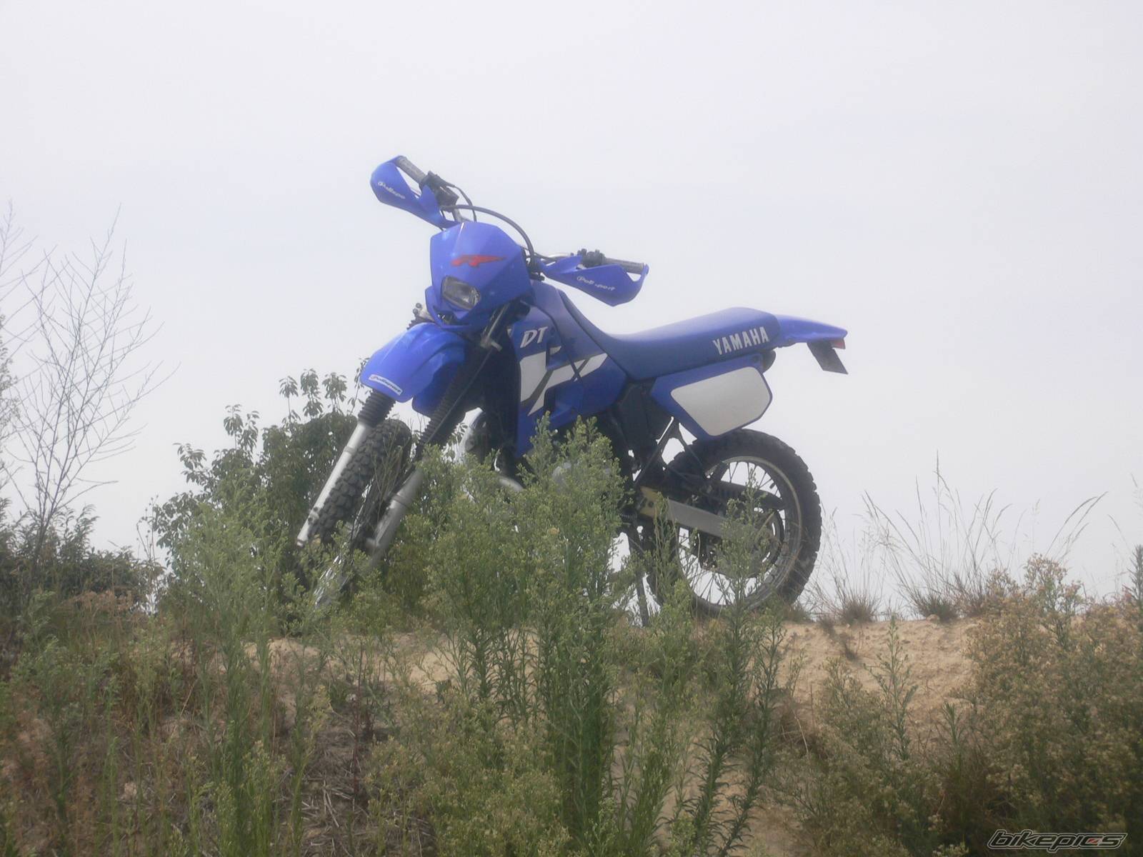 Photo 405594