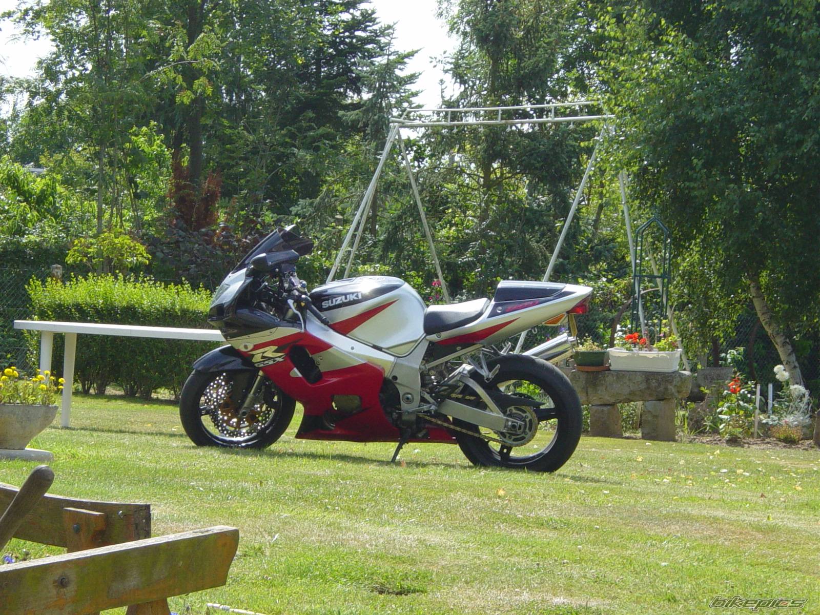 Photo 405649