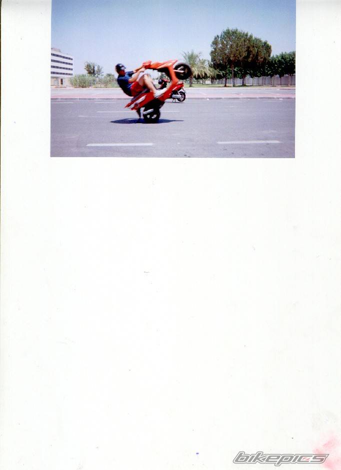 Photo 40567