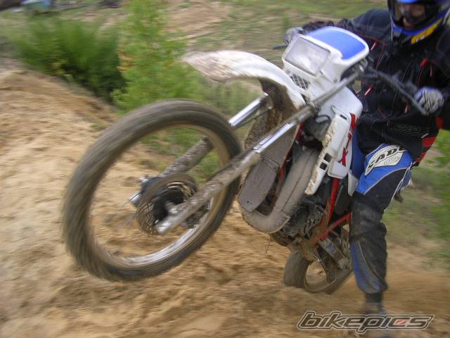 Photo 405815
