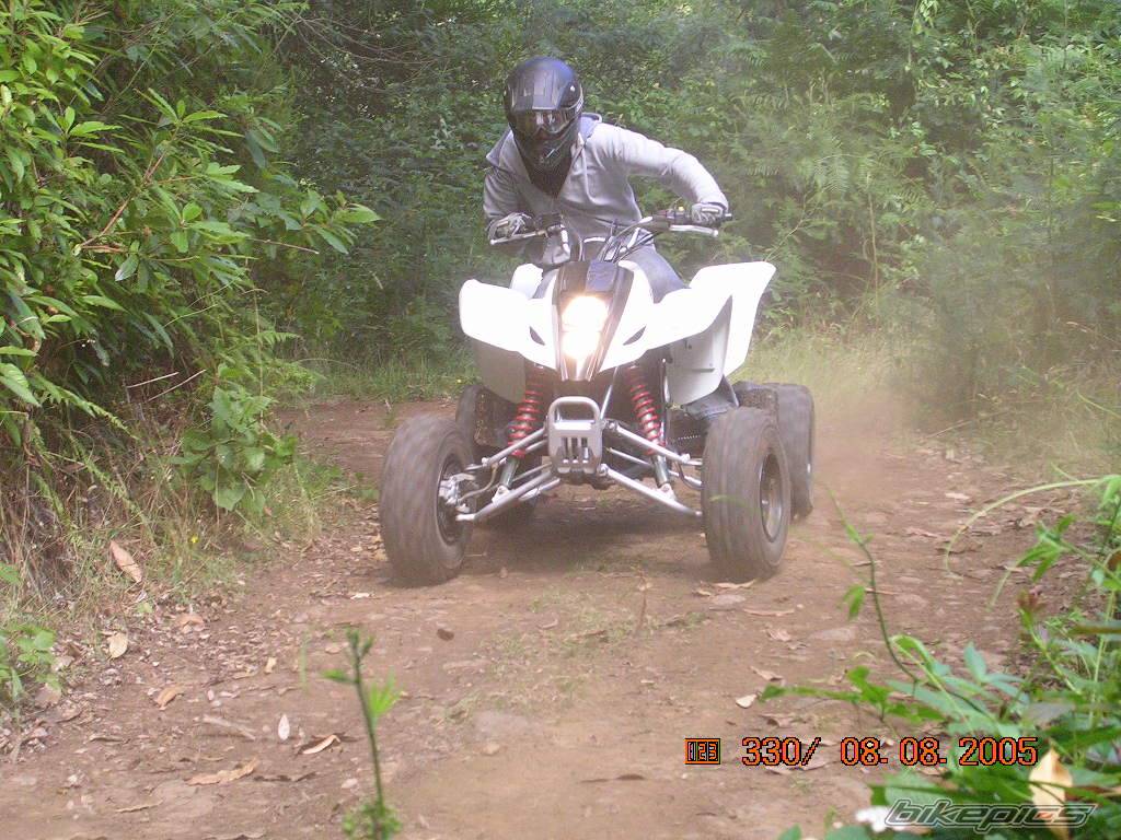 Photo 405989