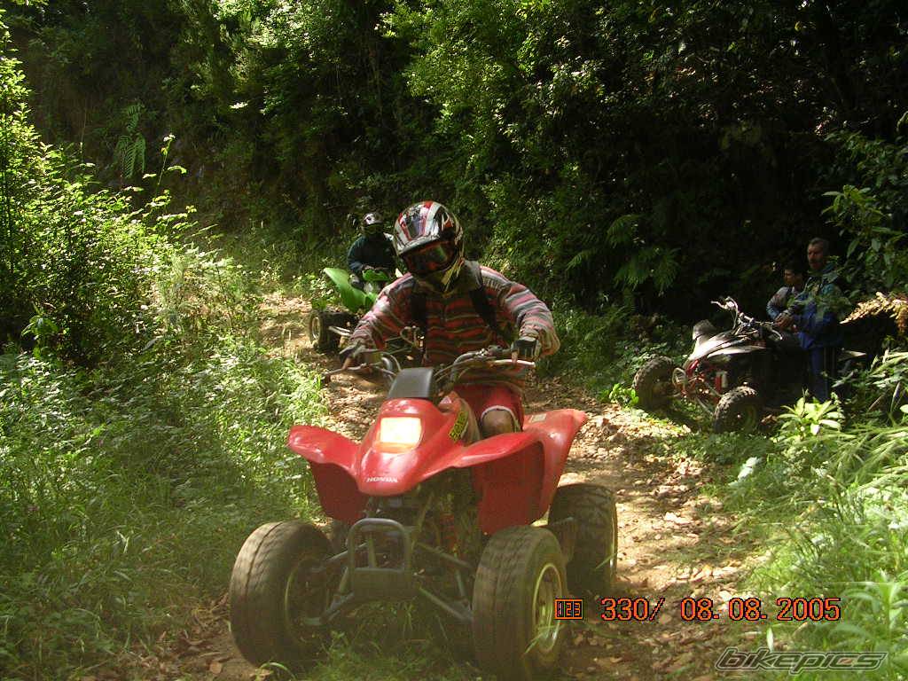Bike Photo 406047