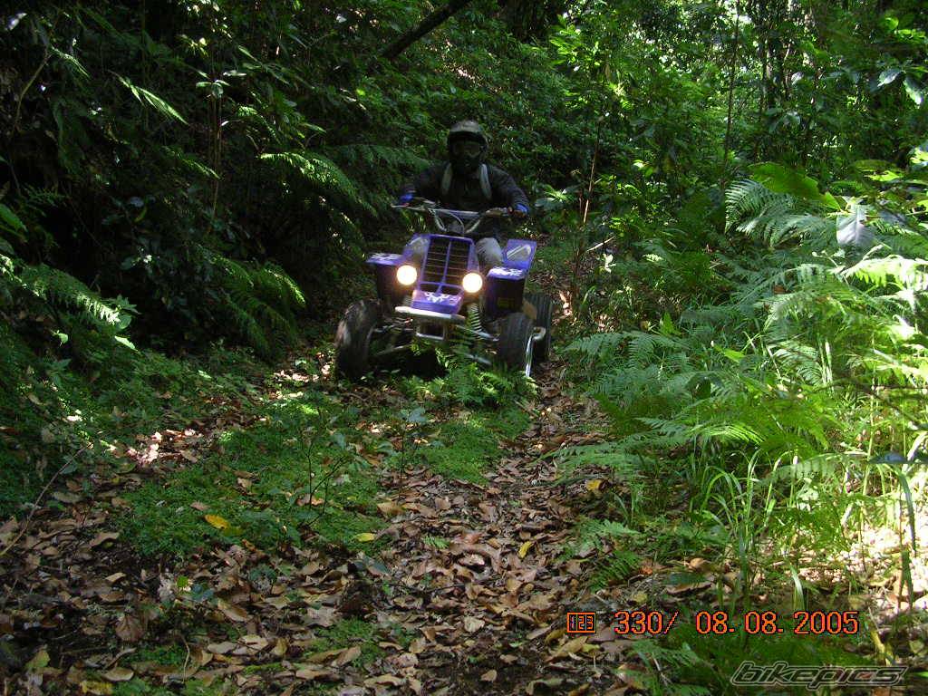 Photo 406072