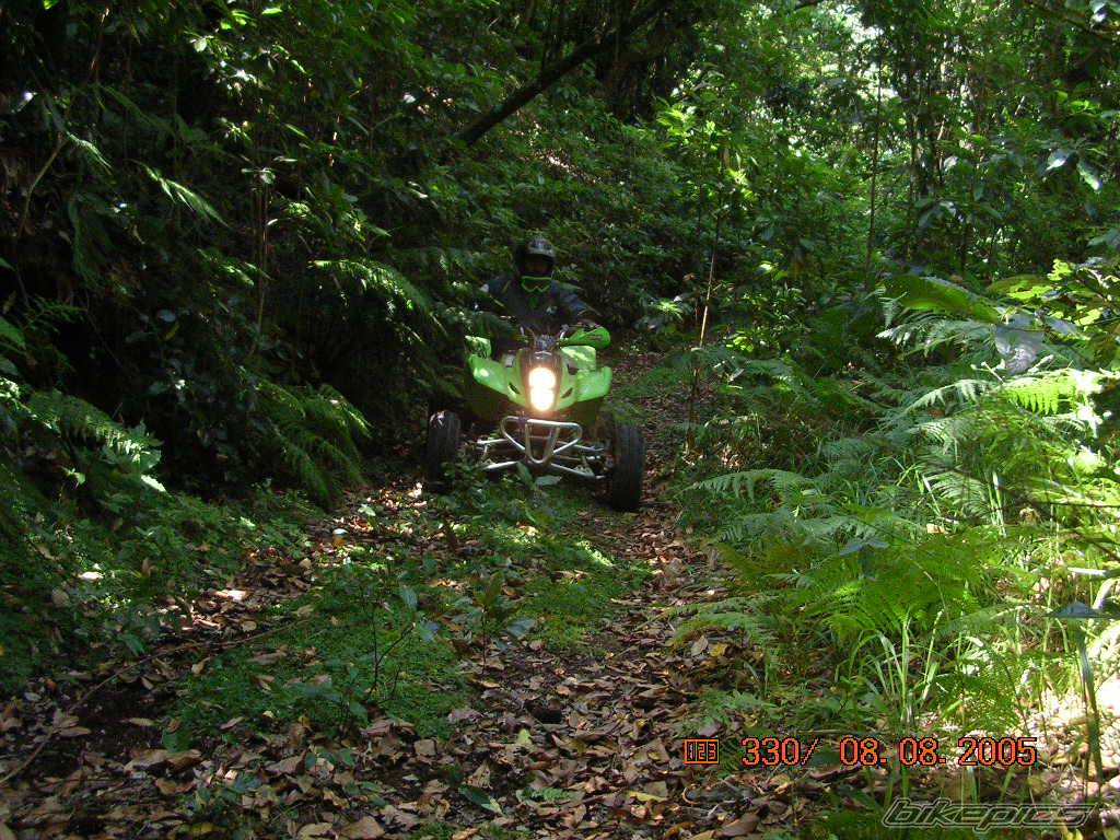 Photo 406075
