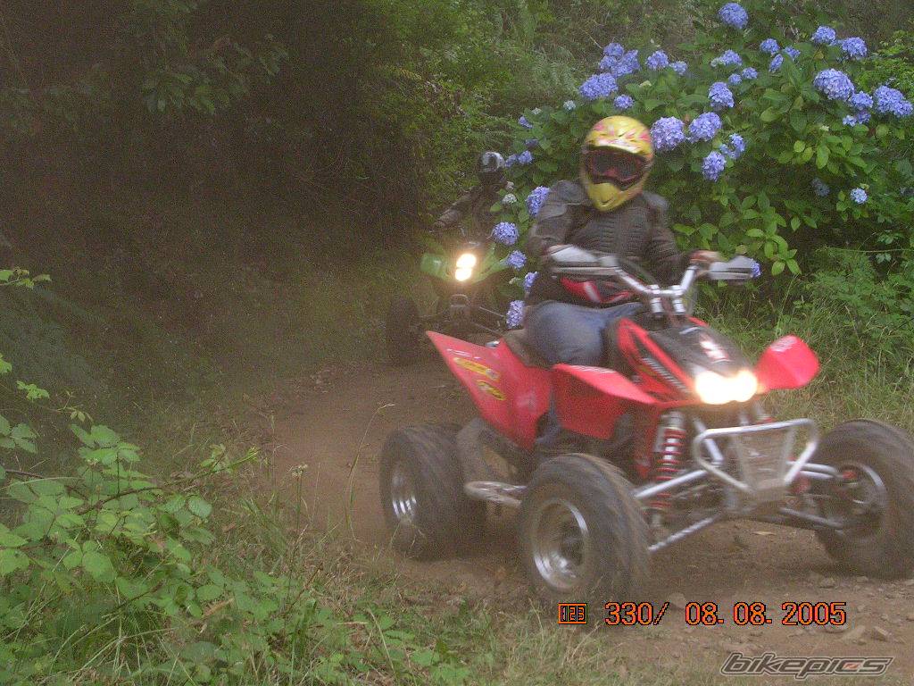 Photo 406091