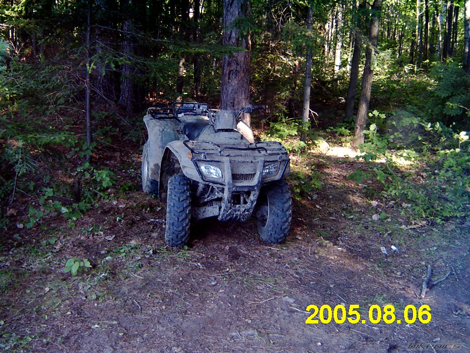 Photo 406132