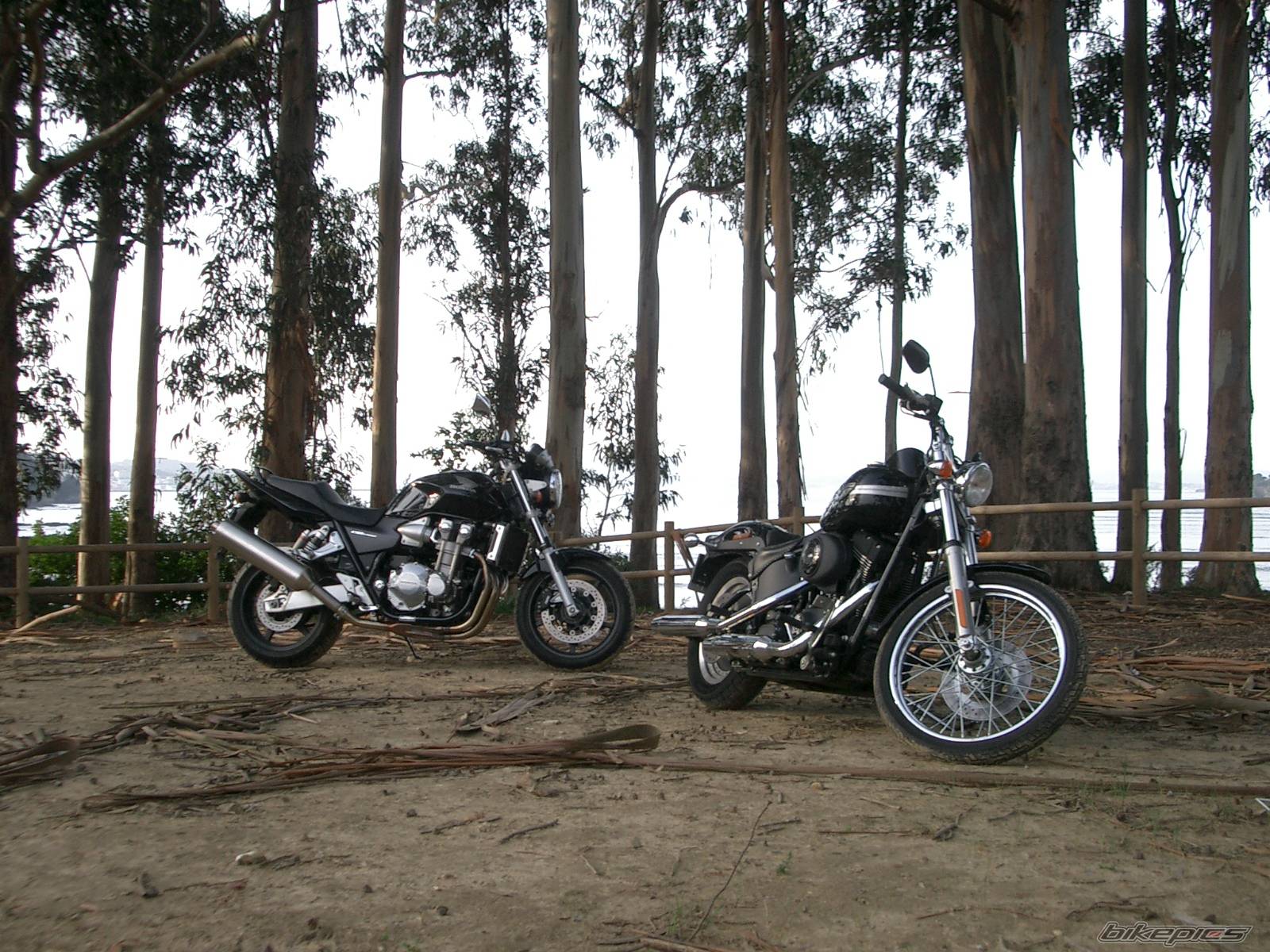 Bike Photo 406428