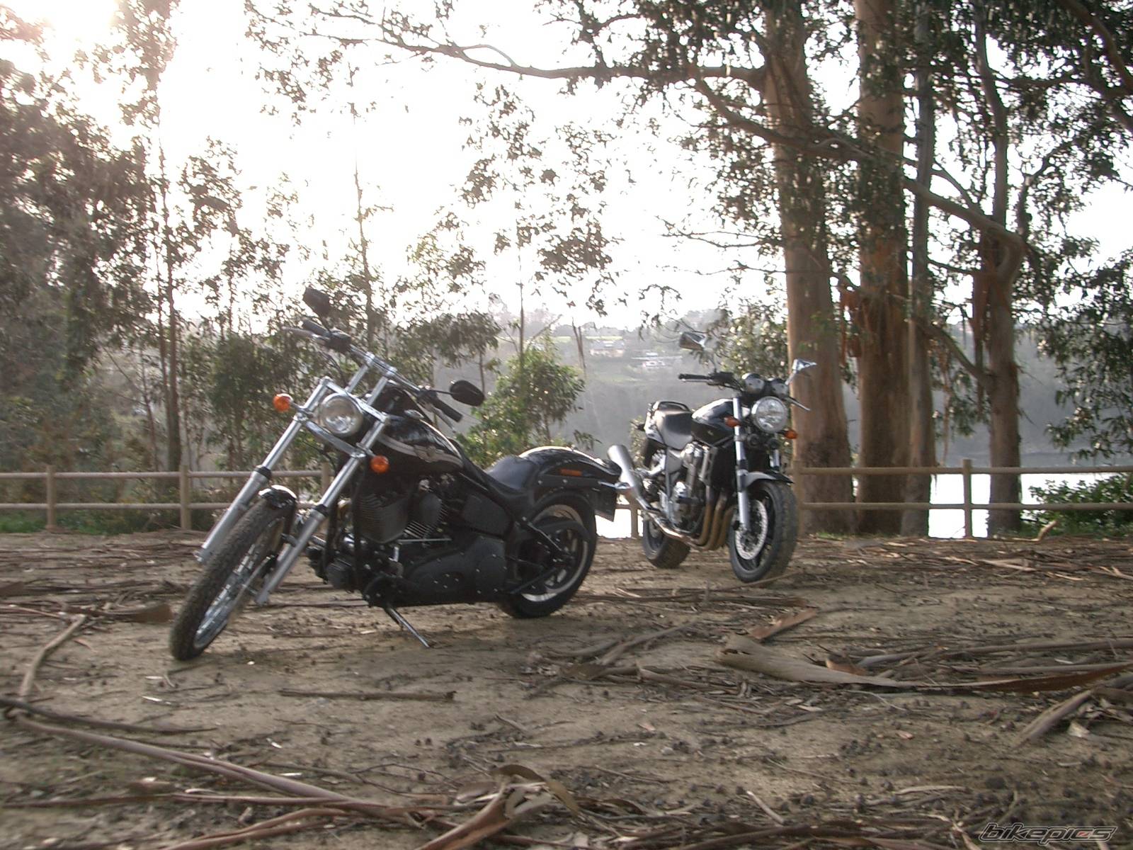 Bike Photo 406429