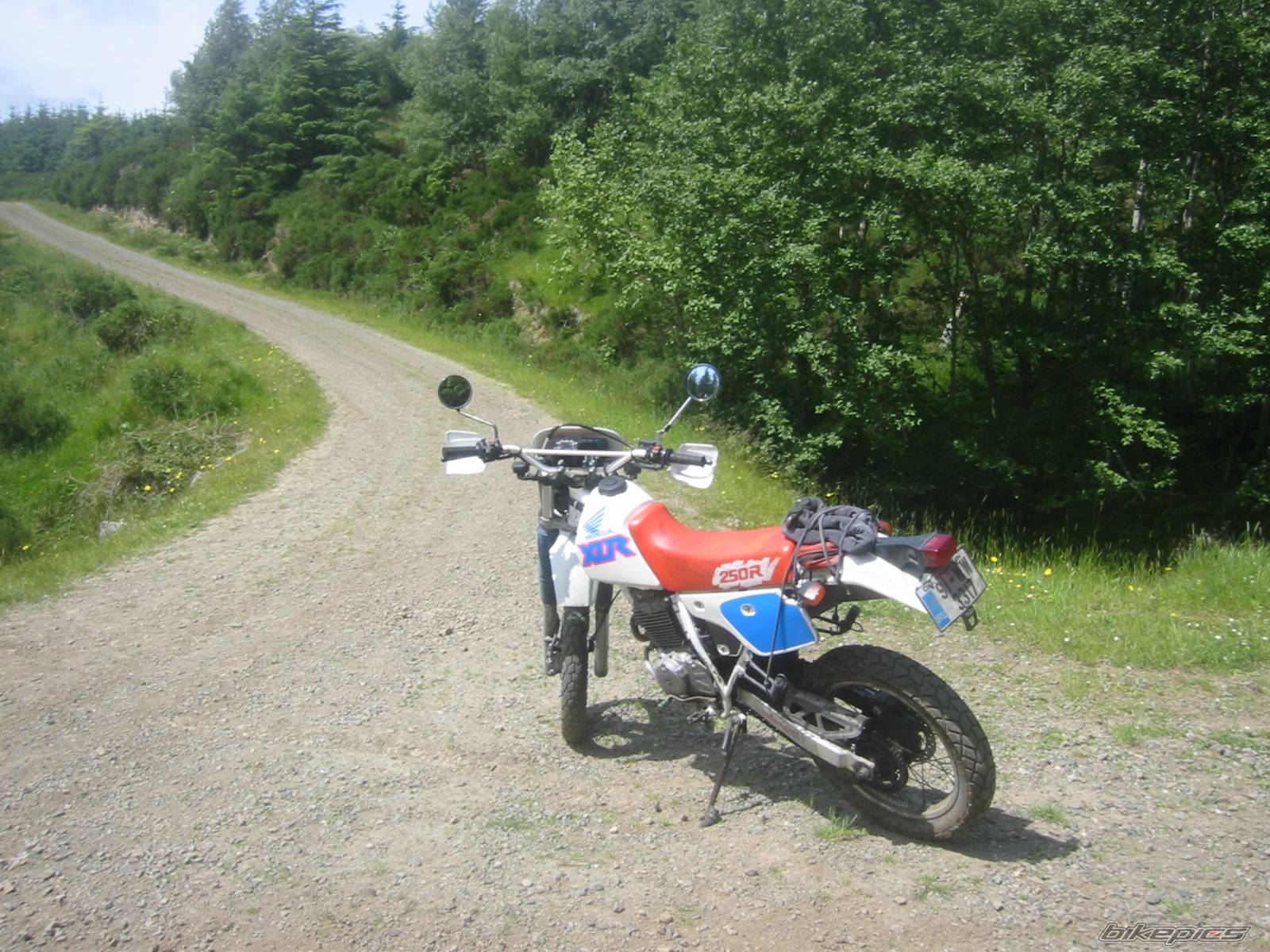 Photo 406458