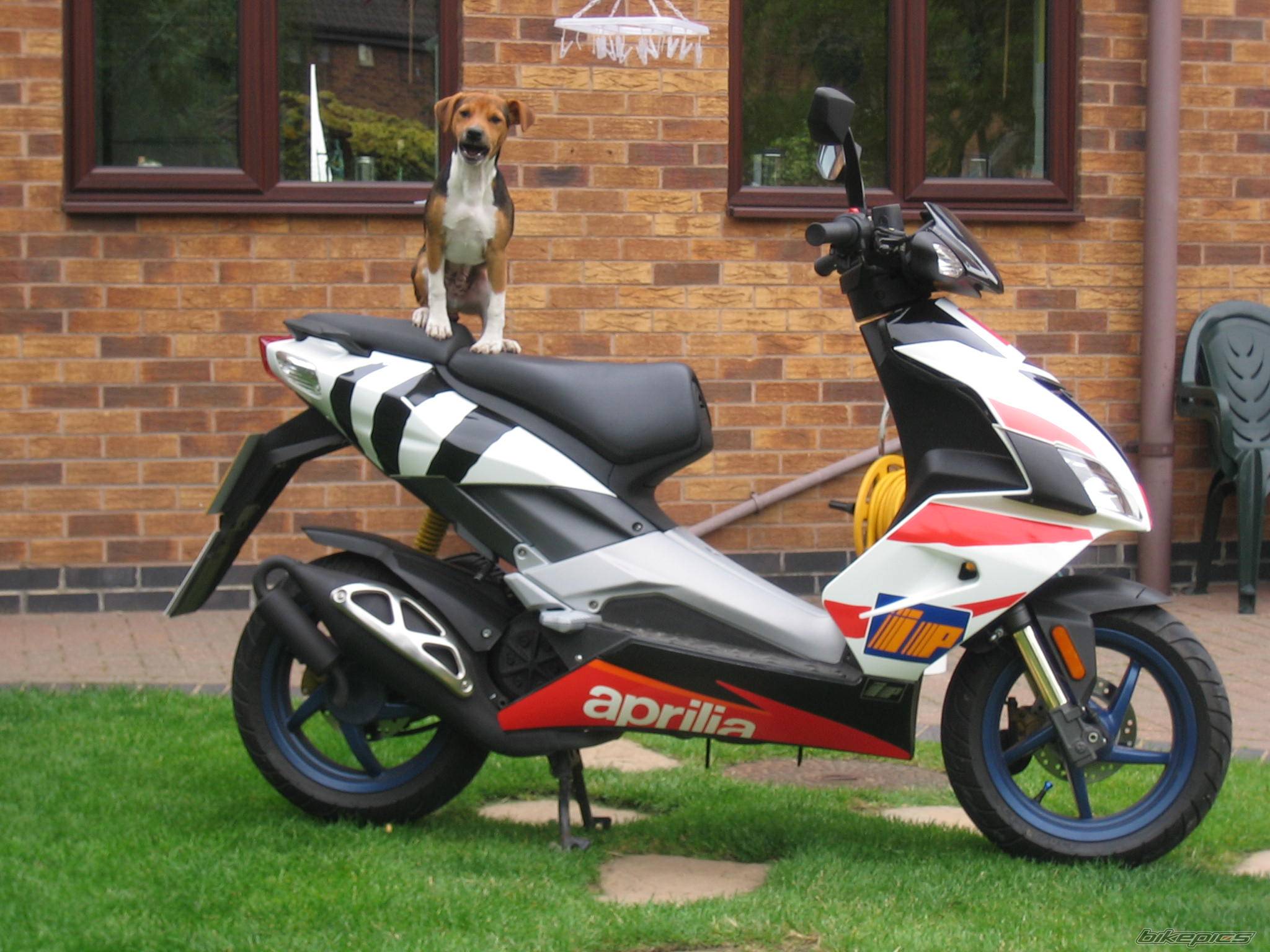 Bike Photo 406492