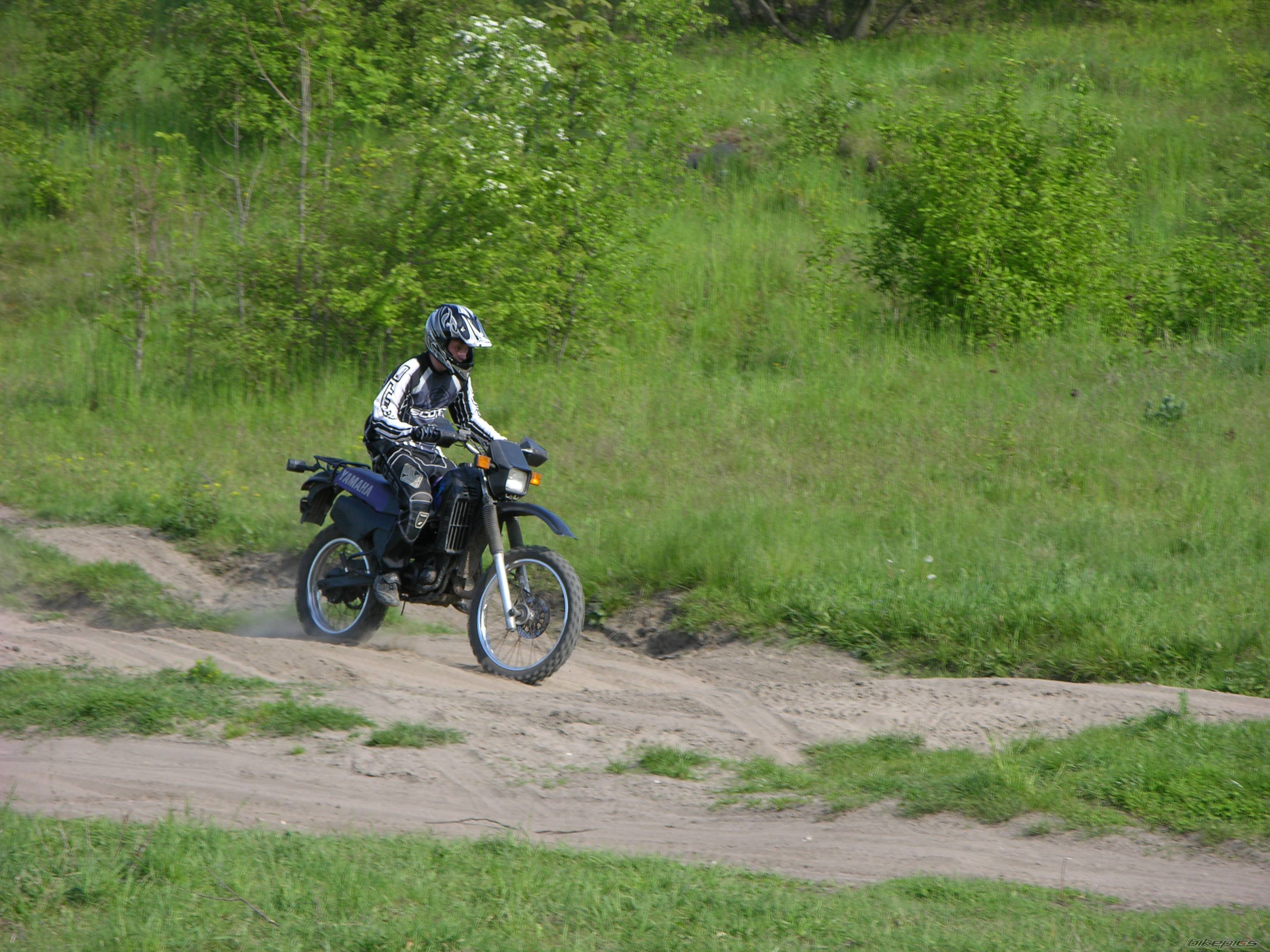 Photo 406611