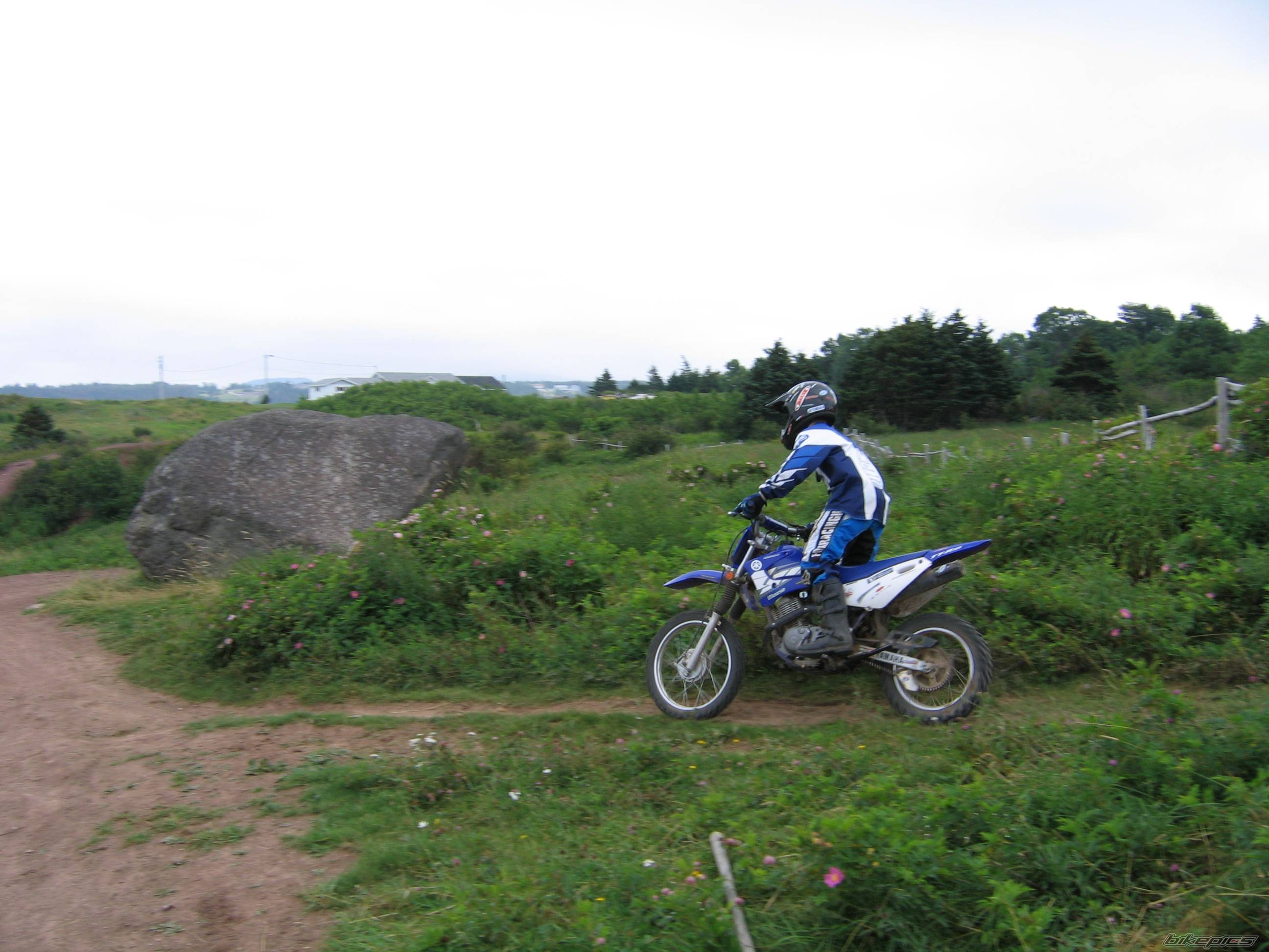 Photo 406639
