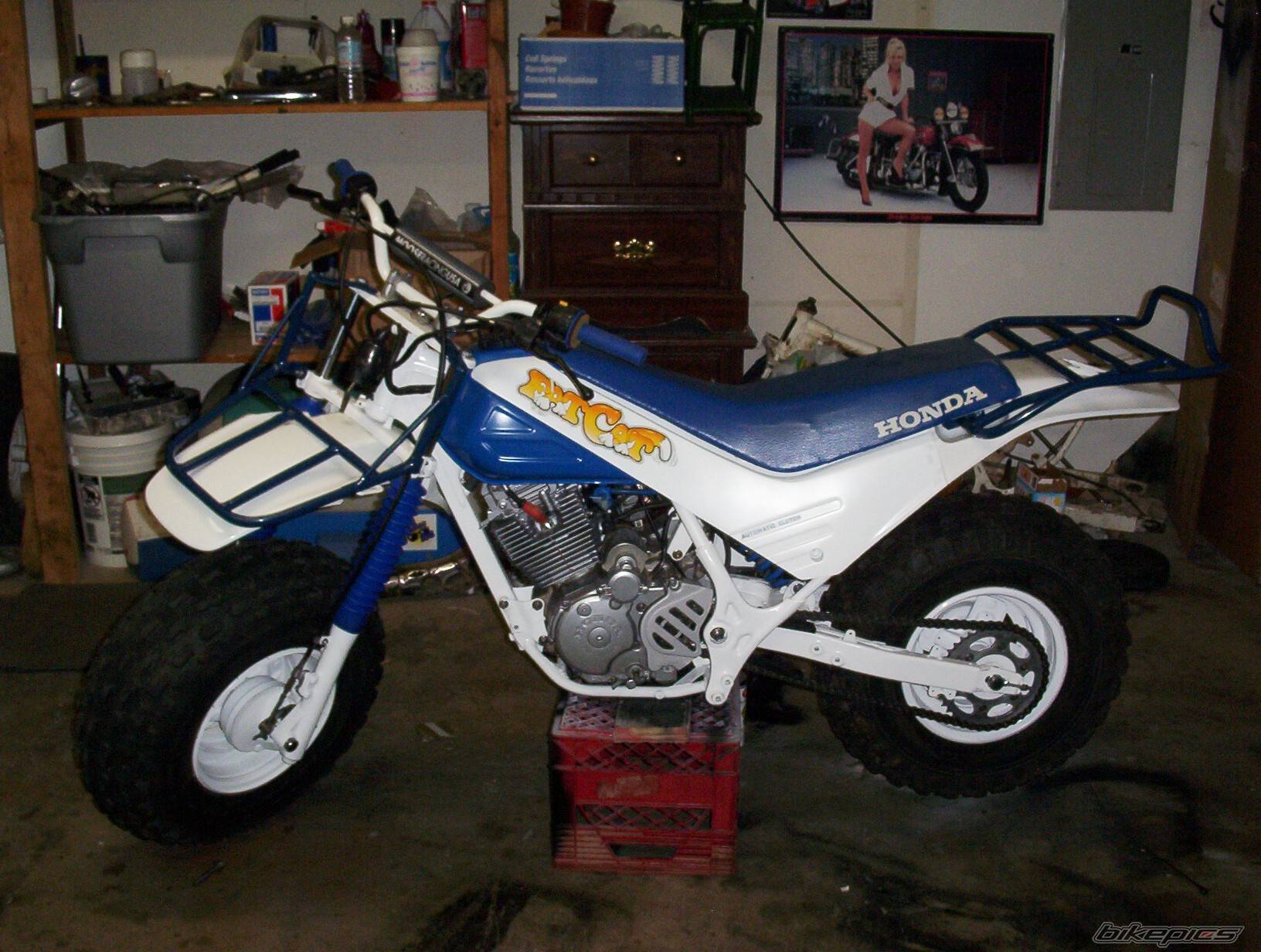 Bike Photo 406660