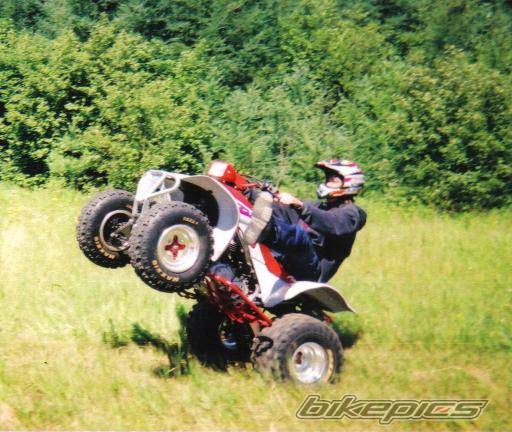 Photo 406668