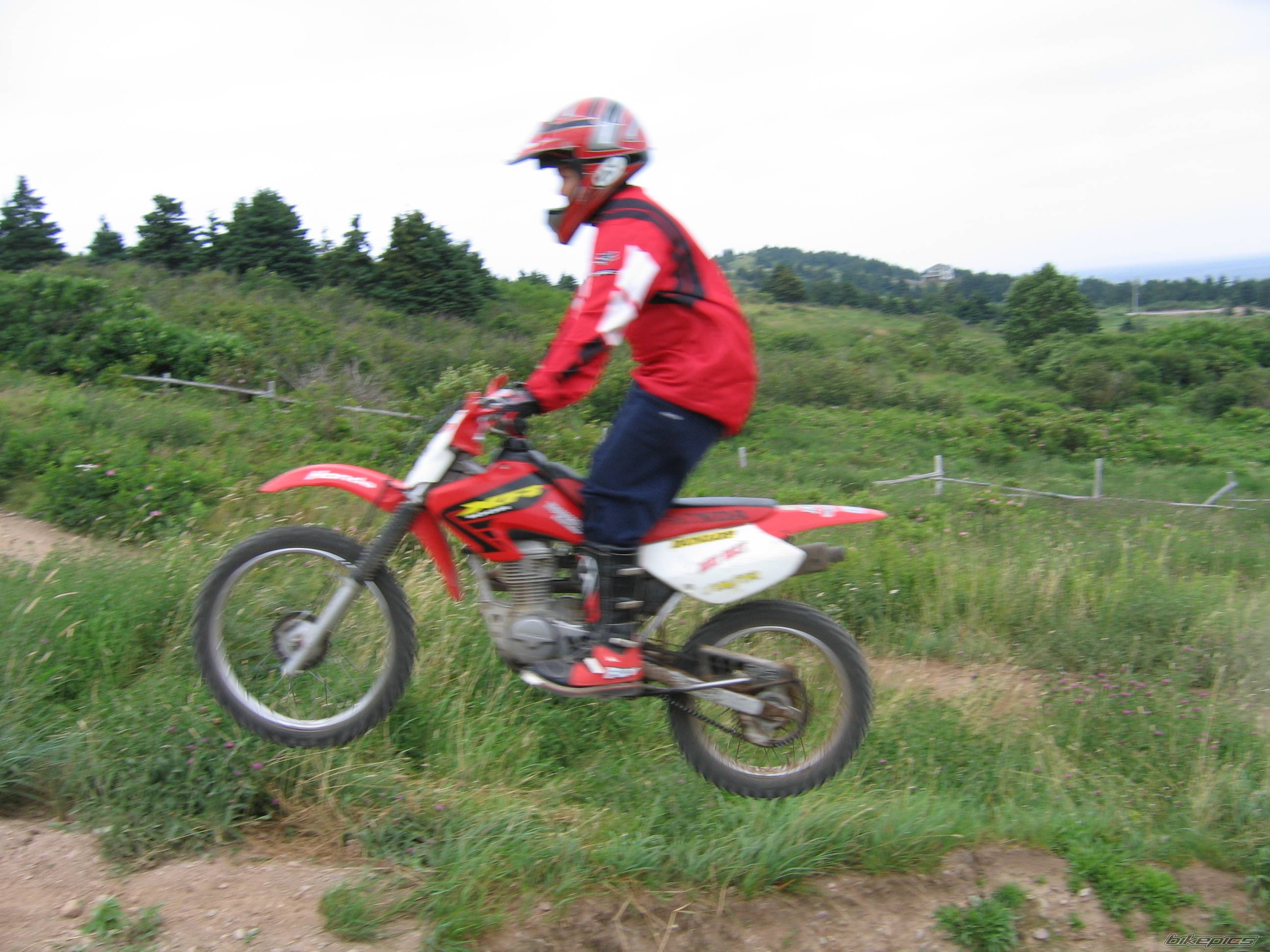 Photo 406669