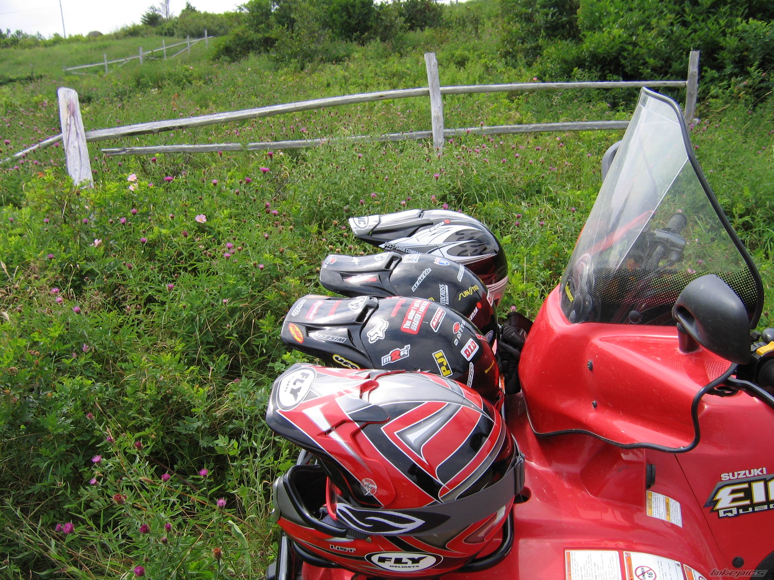 Photo 406706
