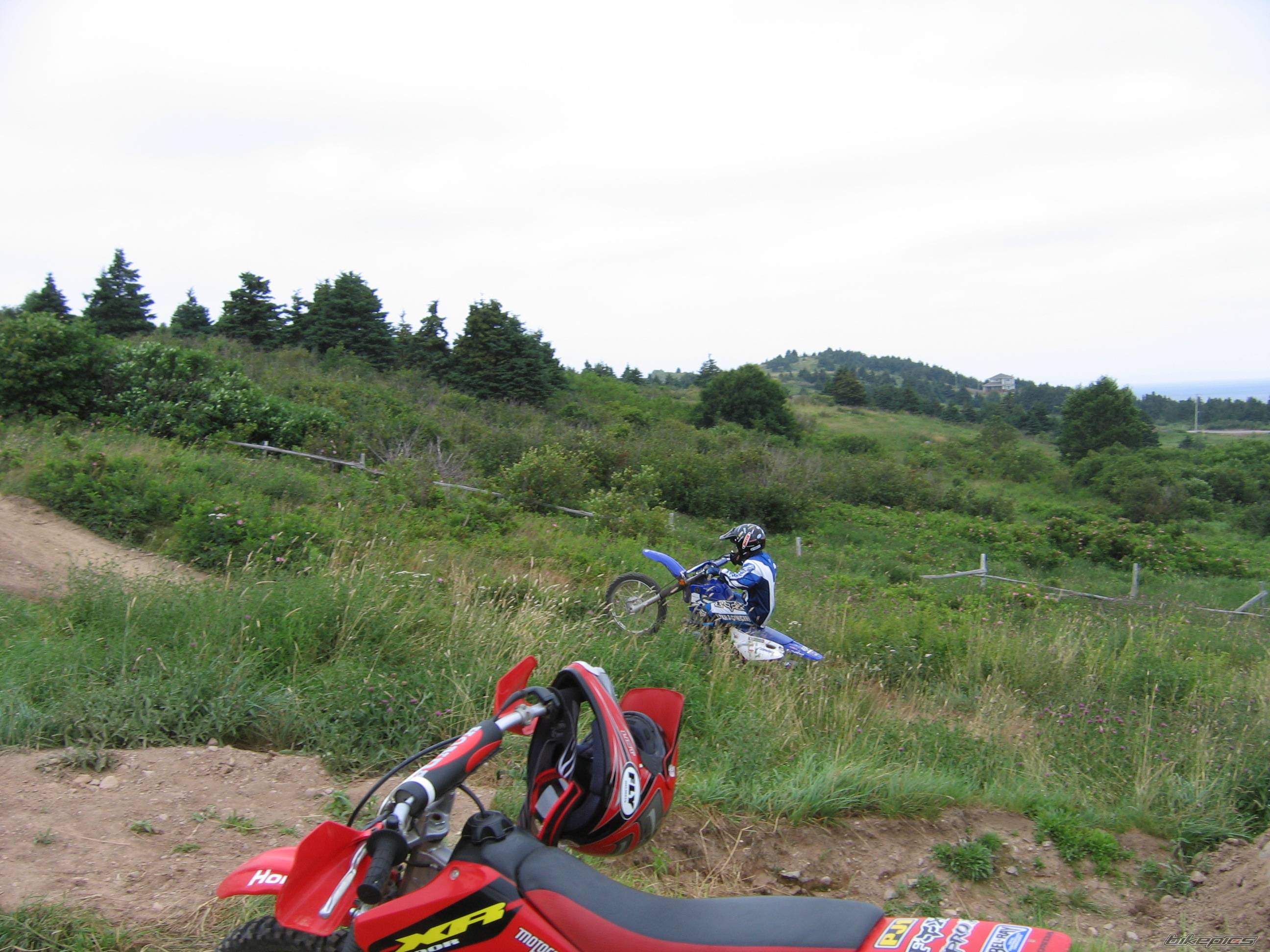 Photo 406708