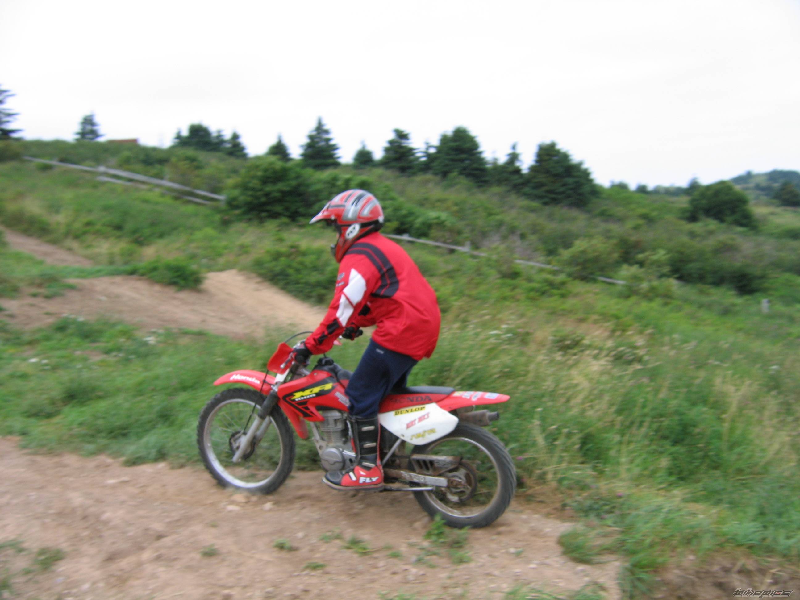 Photo 406719