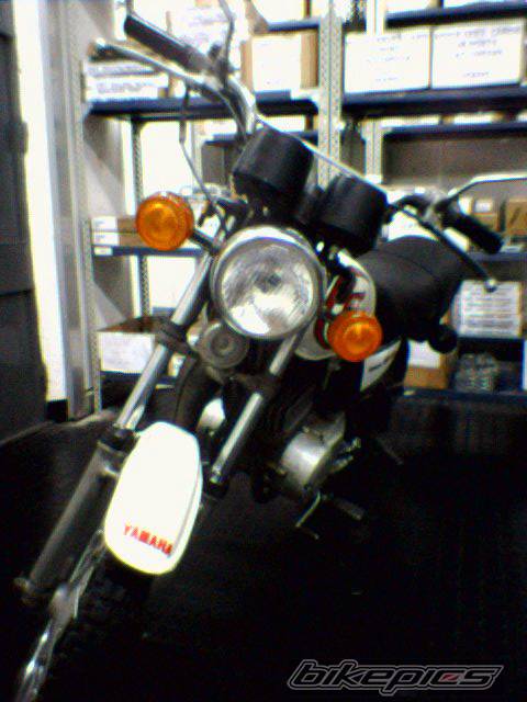 Photo 406750
