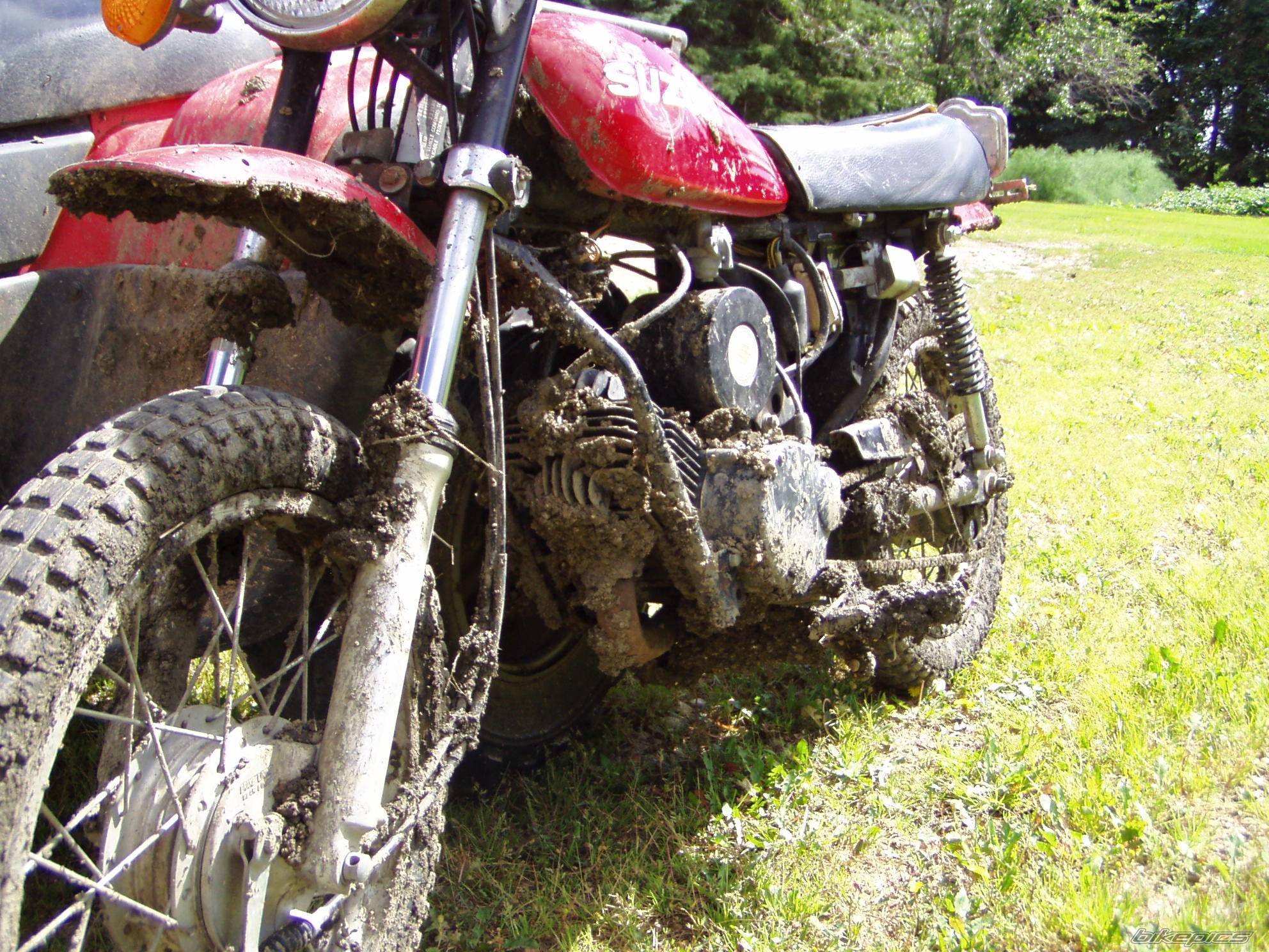 Photo 406864