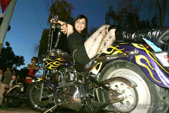 Photo 406929