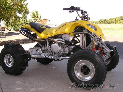 Photo 406938