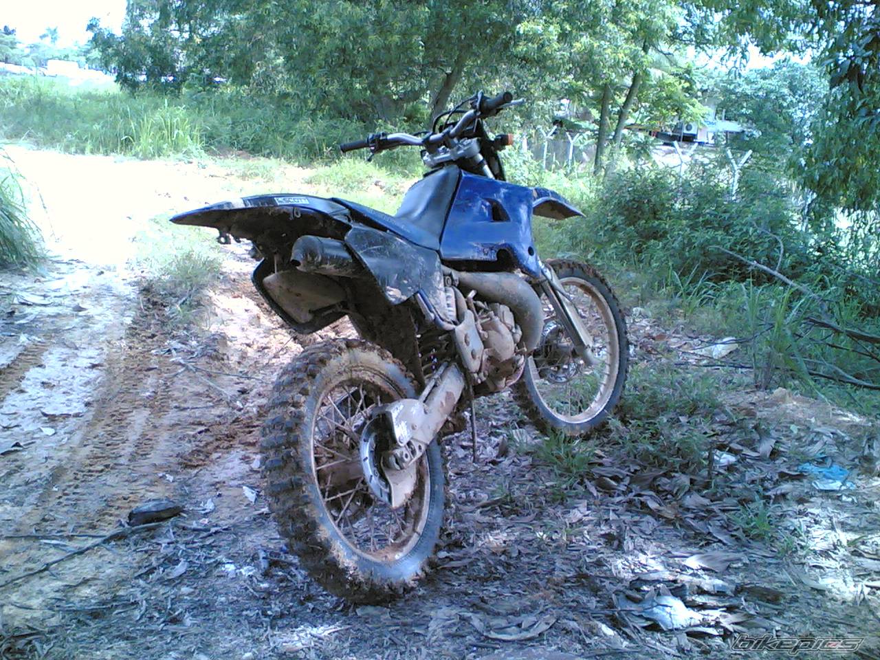 Photo 406952