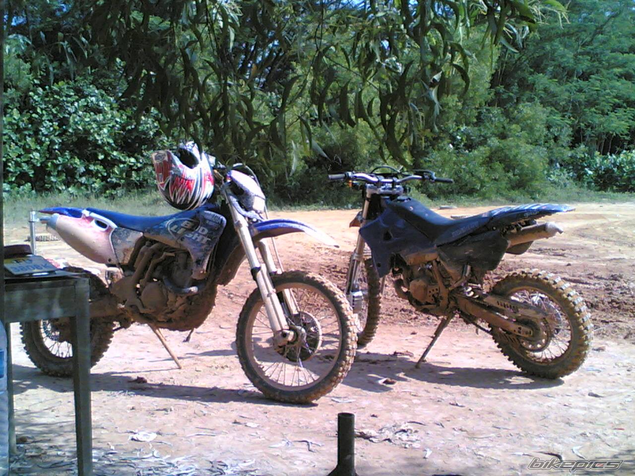Photo 406953