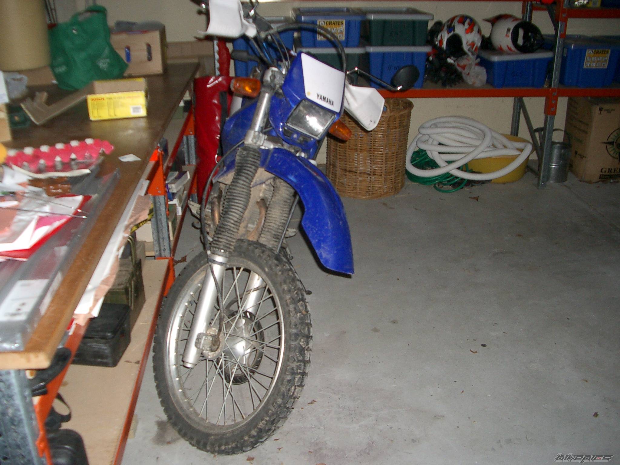 Photo 406984
