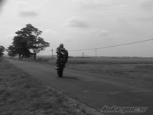 Photo 407226