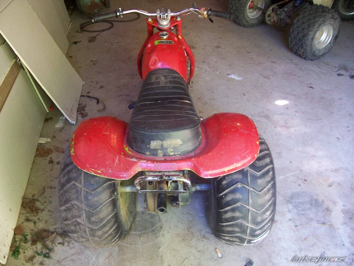 Photo 407229