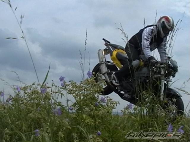 Photo 407235