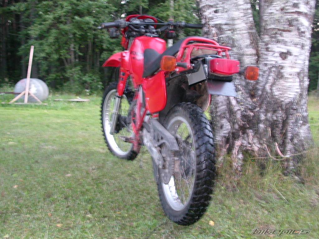 Photo 407278