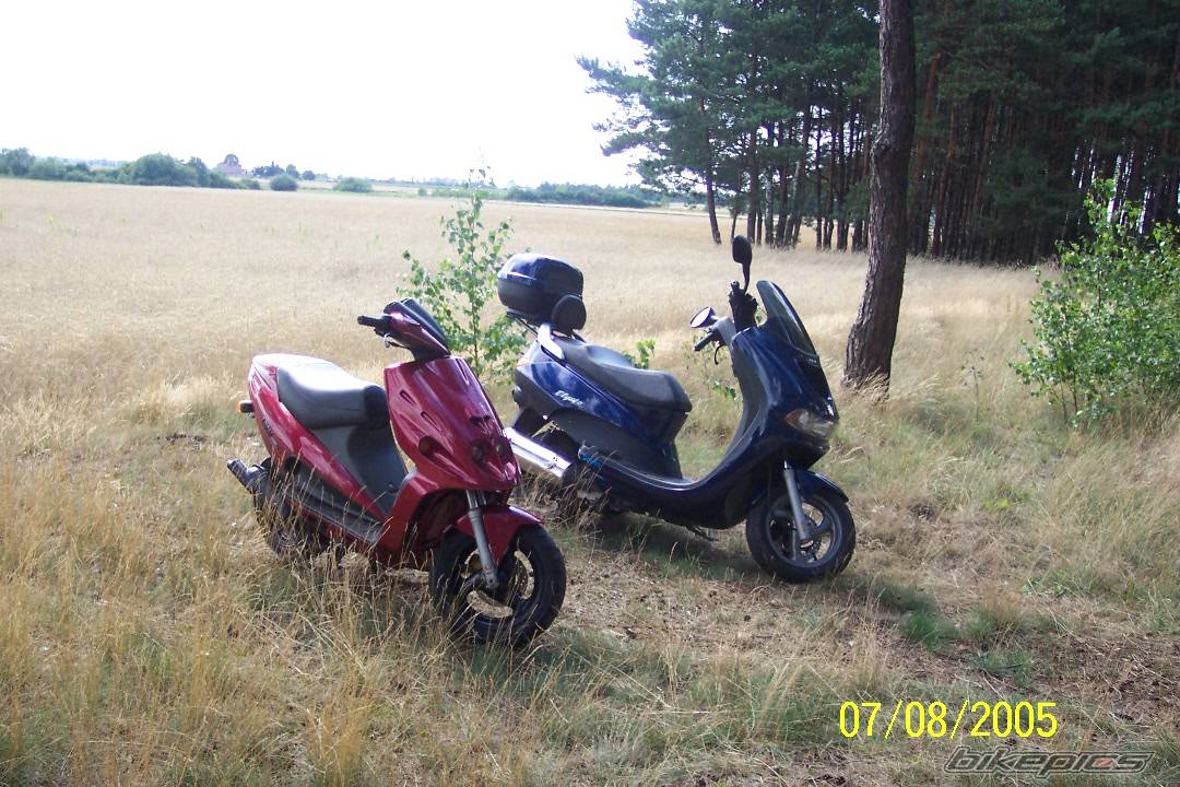 Photo 407329