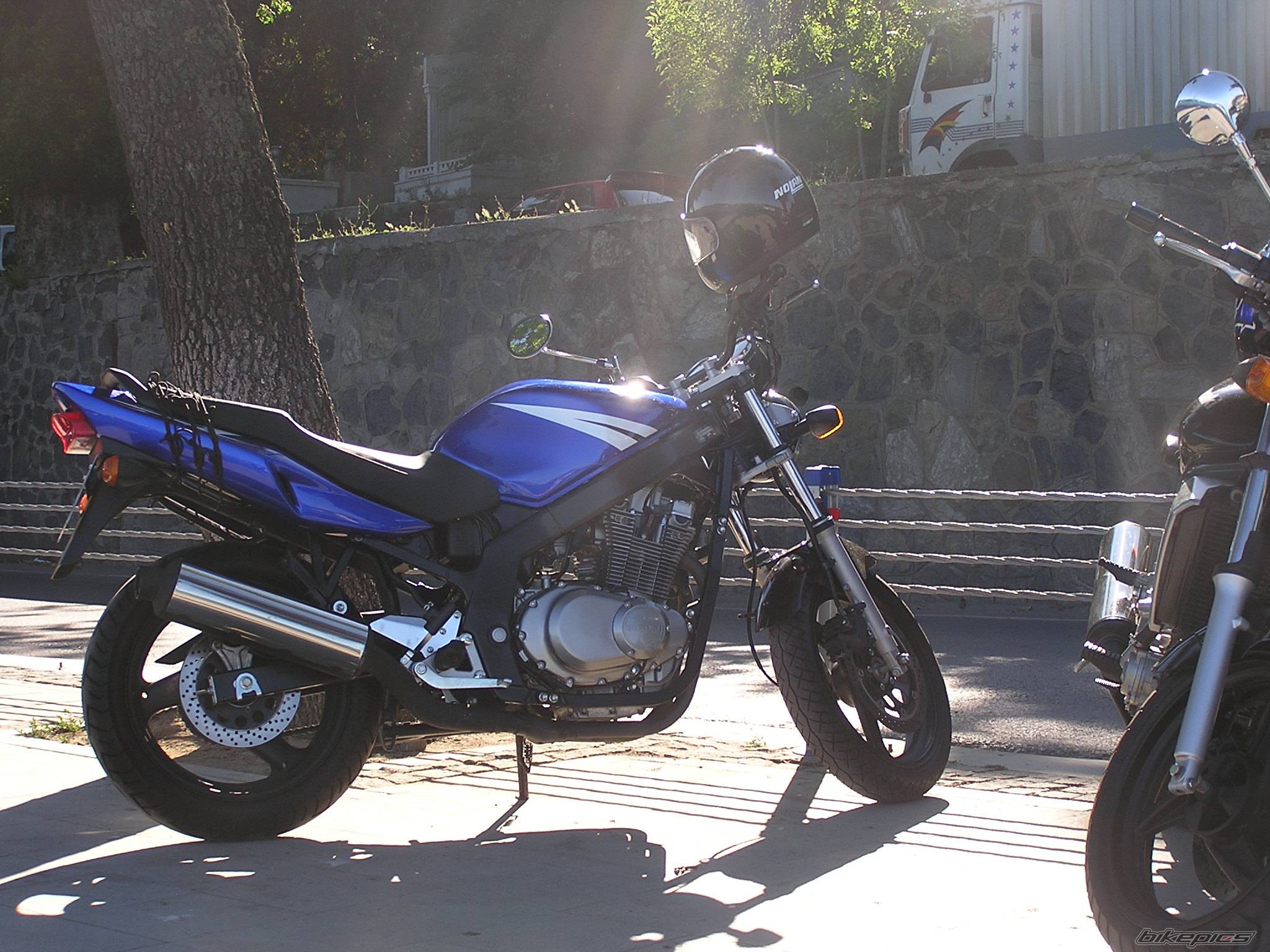 Photo 407433