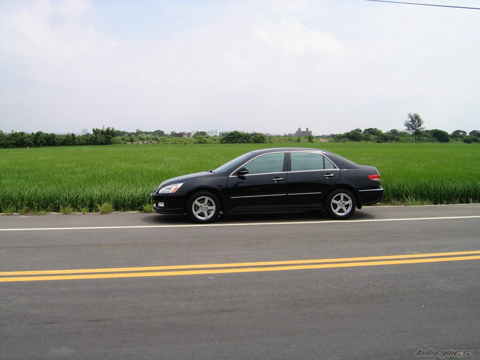Photo 407623