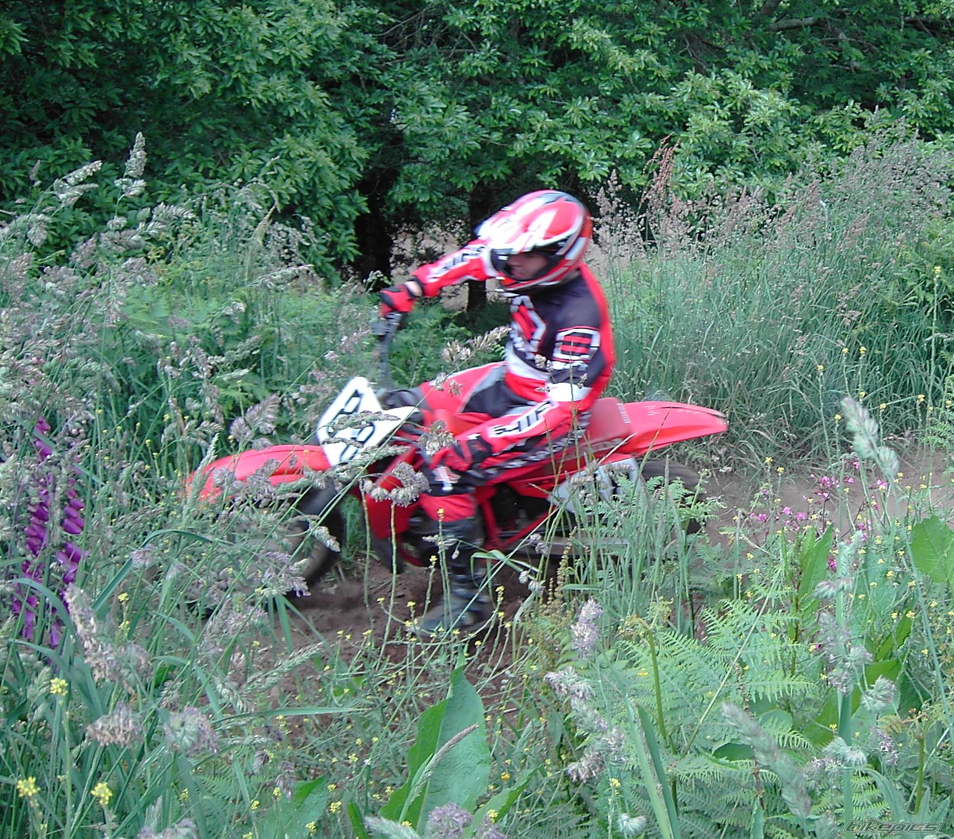 Bike Photo 407688