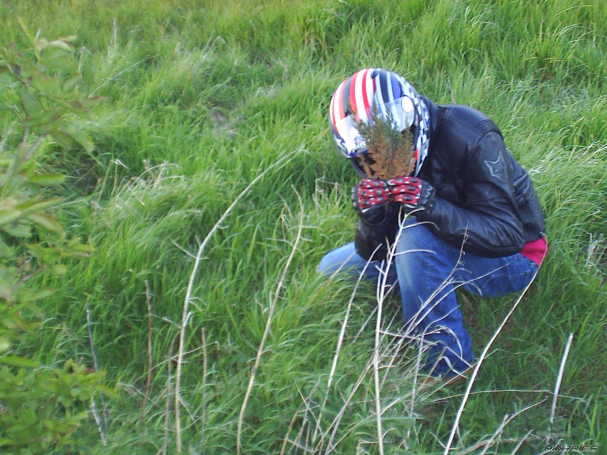 Bike Photo 407723